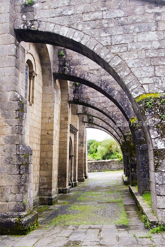 Colegiata Santa María一个真正的做Sar，飞扶壁在一排后视镜。圣地亚哥德孔波斯特拉，加利西亚，西班牙。